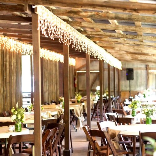 Cortina Luces Led Decoración Navidad Cálida 3m Extensible